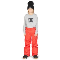 DC Shoes Banshee Kids Pant 2023 -Outerwear Select Stores DC Shoes Banshee Kids Pant 22 23 RRED 1