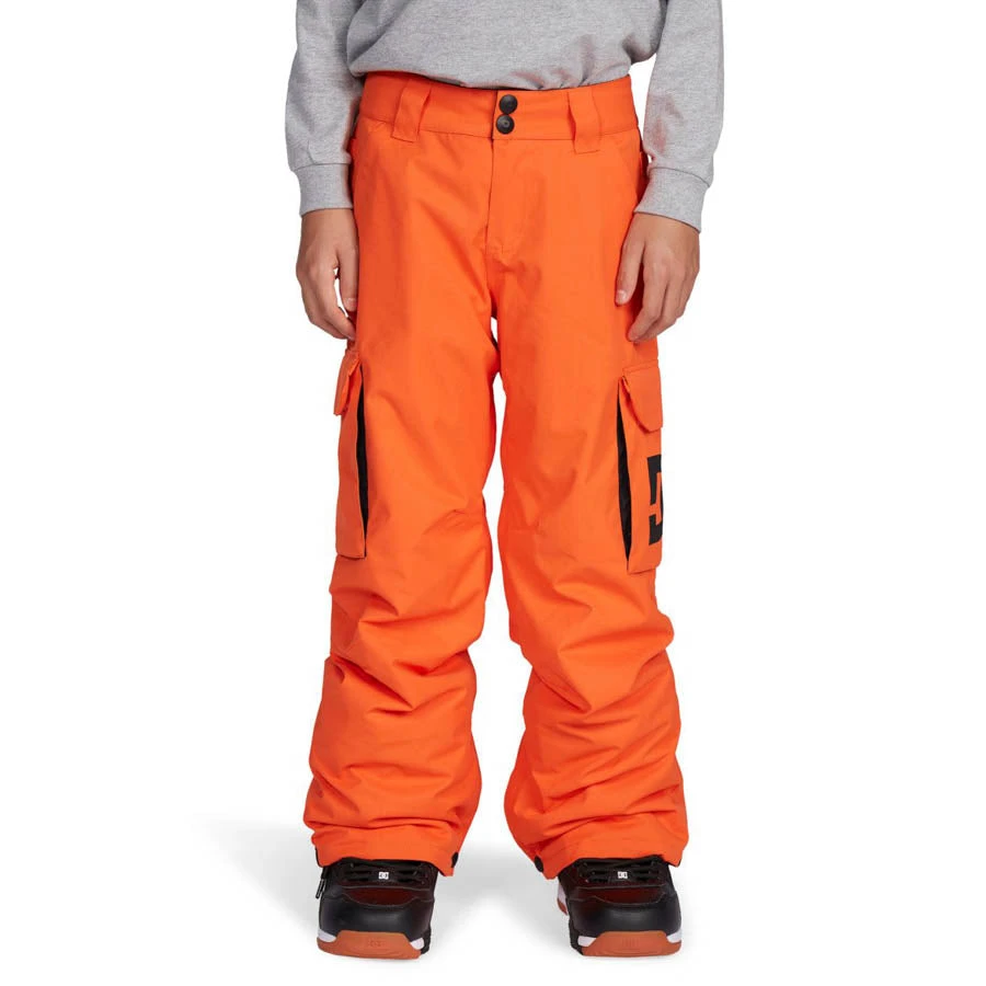 DC Shoes Banshee Kids Pant 21-22 3 DC Shoes Banshee Kids Pant 21-22 - Image 3