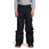 DC Shoes Banshee Kids Pant 21-22